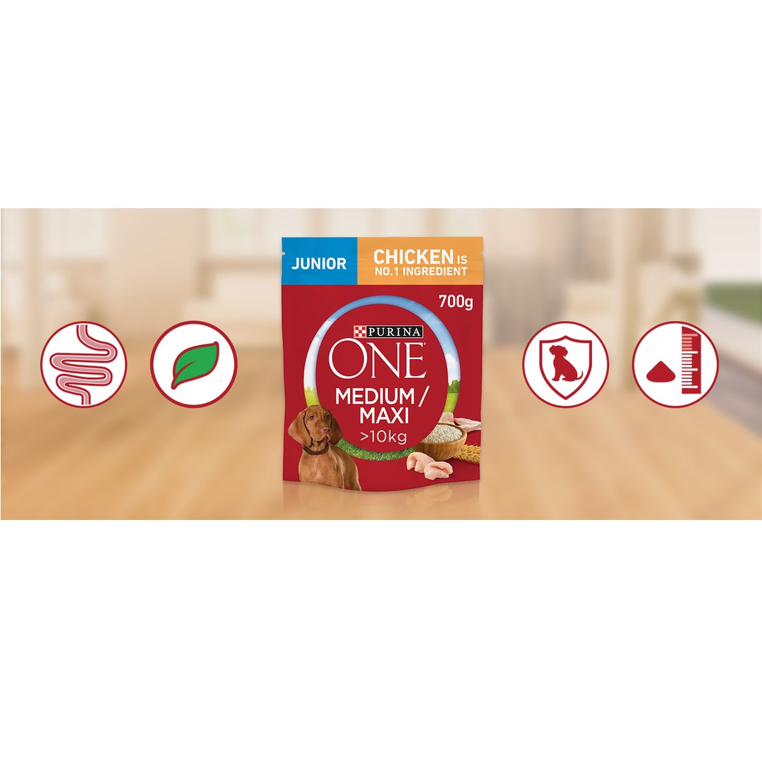 Purina one hot sale medium